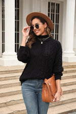 Trendsi Black / S Cable-Knit Turtle Neck Long Sleeve Sweater