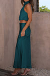 Trendsi Cropped Turtle Neck Tank Top and Maxi Skirt Set