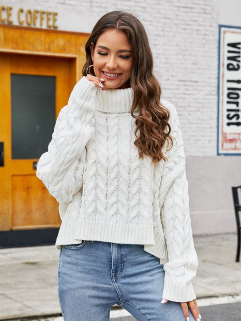 Trendsi Turtle Neck Cable-Knit Sweater