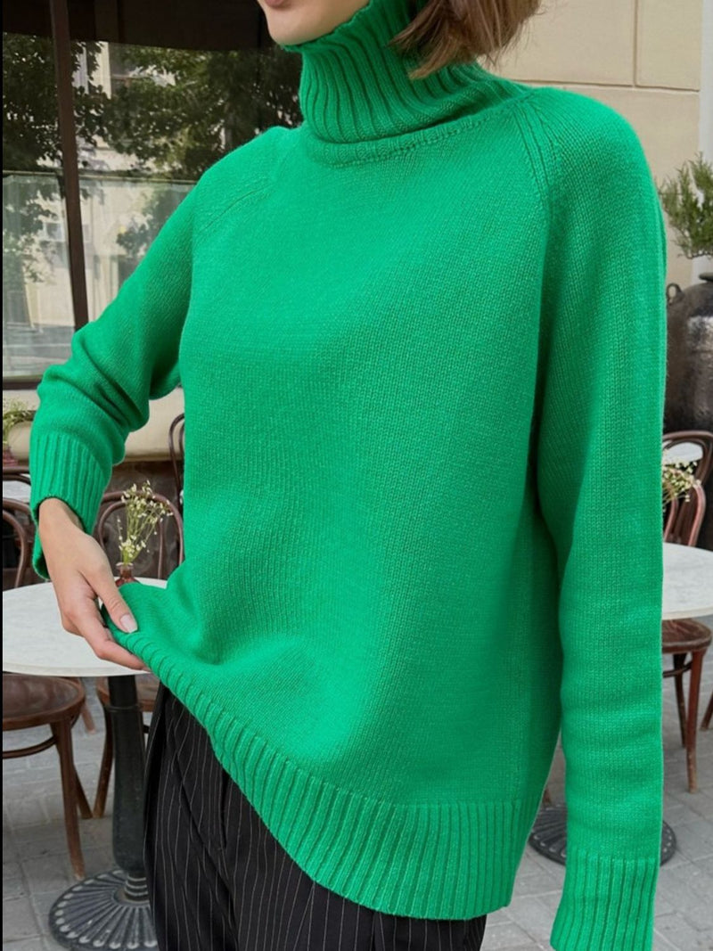 Trendsi Turtle Neck Raglan Sleeve Sweater