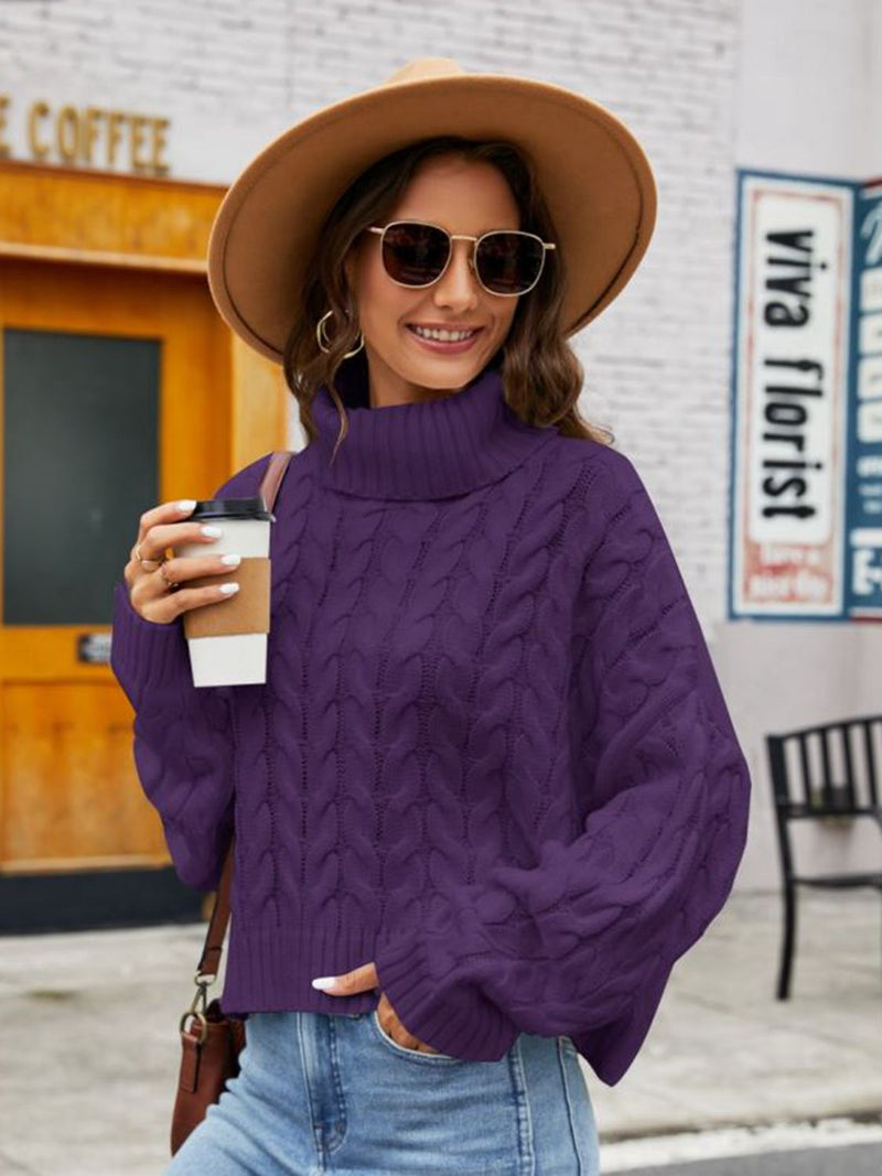 Trendsi Violet / S Turtle Neck Cable-Knit Sweater